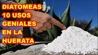 DIATOMEAS, 10 usos en la HUERTA que necesitas SABER