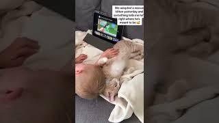 Awwww so cute hahaha #anicapped #cute #cats and #baby