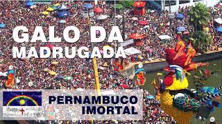 Carnaval RECIFE - GALO DA MADRUGADA