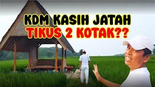 Ini Gubuk Sawah Kang Dedi Mulyadi || Tempat Healingnya Gini⁉️