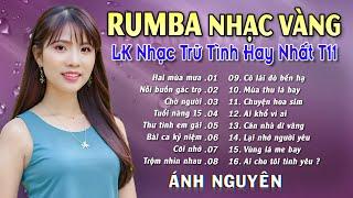 HAI MÙA MƯA  ALBUM RUMBA ÁNH NGUYÊN HAY NHẤT MỌI THỜI ĐẠI  LK RUMBA CỰC HÓT 2024