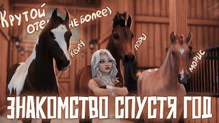 RRP | ЗНАКОМСТВО С ПЕРСОНАЖЕМ И БЛОГОМ | STAR STABLE