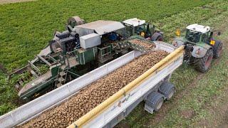 Harvesting Potatoes w/ 2X Fendt Vario 828's