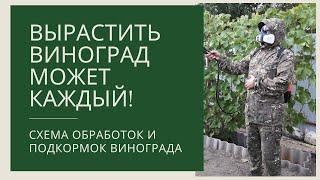 Схема обработок и подкормок винограда! Предотвратить болезни винограда легче, чем лечить!