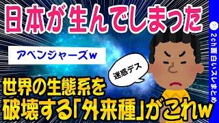 【2ch雑学スレ】日本産の侵略的外来種がコレww【ゆっくり解説】