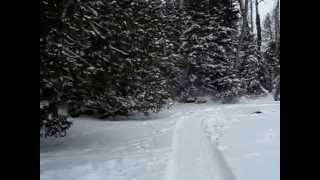 snowbug
