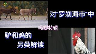 吗哪特辑《对“罗刹海市”中驴和鸡的另类解读 》2023.8