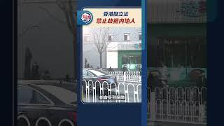 香港擬立法　禁止歧視內地人｜@dotdotnews點新聞 #shorts