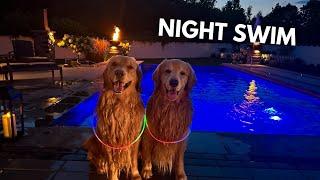 LIVE: Night Swim with Tucker and Todd