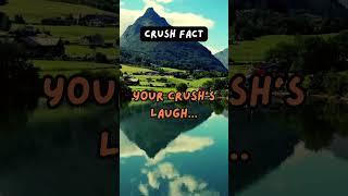 "BlinkBits | Flash Facts, Fun Finds"