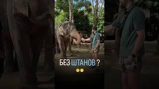 Заработай на отпуск Как?Ссылка в шапке  #финансоваясвобода #money #деньги #работа #зарабатывай