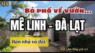 Bán nhà và vườn giá rẻ tại xã Mê Linh- Đà Lạt. BDS Lâm Đồng.