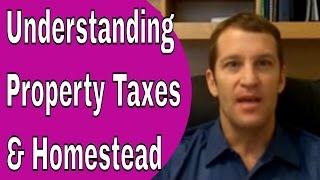 Florida Property Taxes and Homestead - Tampa Realtor