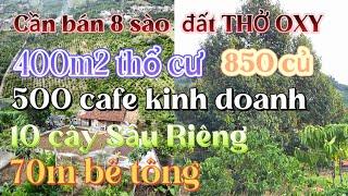 Cuối năm cần tiền bán gấp lô đất 8 sào cafe, có 400m2 thổ cư| Giá ngộp thở cho anh chị