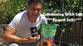 Gardening With EPSOM SALT For A Greener & Healthier Plant--DO NOT USE TABLE SALT!