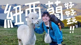 紐西蘭完全超出我的想像...追逐海豚、被180隻草泥馬包圍、15000英尺極限跳傘！｜金魚腦Goldfish Brain feat.Insta360