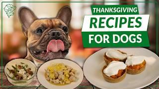 3 VET-APPROVED Thanksgiving Recipes Your Dog Will LOVE! | Ultimate Pet Chef