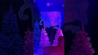 Winter Wharf at Sparkman Wharf in Tampa #shorts #tampa #sparkmanwharf