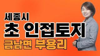 세종시 토지매매 세종시 토지전문부동산 세종시 금남면 부용리 단독주택토지매매세종 몽땅부동산 공인중개사