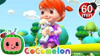 Mary Had a Little Lamb  | Cocomelon |Best Animal Videos for Kids | Kids Songs and Nursery Rhymes