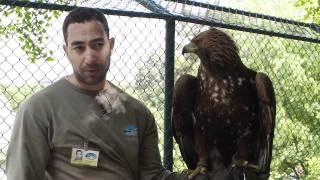 Belgrade Zoo 2011 Episode 6 Part 2