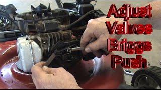 Adjust Valves Briggs Push Mower 550 series and others
