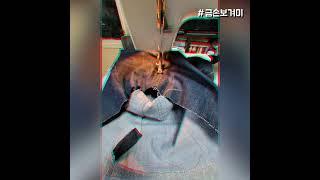 [금손보겨미] 청바지가방만들기
