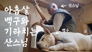 더불어 살아가는 스님과 반려견 / 기타치는 스님과 아홉살 똘이 / 산골짜기 일상 Vlog