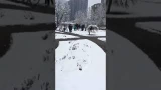 Chris Harrod Joking About Yelling "Zeig Heil" and Nazi Saluting at Calgary City Hall