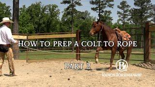 How To Prep a Colt To Rope Part 2