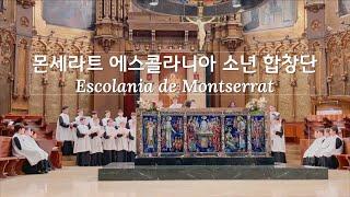 몬세라트 수도원 소년합창단 Escolania de Montserrat (Boys' choir) full ver.| 천상의 목소리를 듣고 싶다면 들어오세요