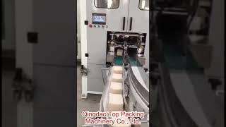 Double channel tissue paper log saw cutting machine