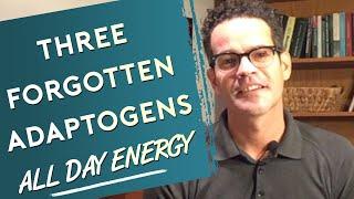 3 Forgotten Adaptogens For All Day Energy WORKS FAST!