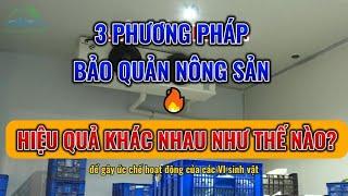 3 Phương pháp bảo quản nông sản từ thô sơ đến hiện đại #kholanh #dienlanh #nongsan #phươngphap