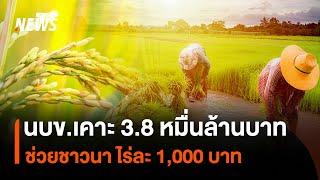 นบข.เคาะงบฯ 3.8 หมื่นล้านบาท ช่วยชาวนา ไร่ละ 1,000 บาท | Thai PBS News