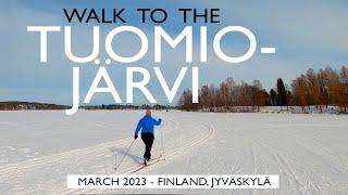 Jyväskylä Walk: Mäki-Matti to Tuomiojärvi Lake, March 2023, Finland [4K]