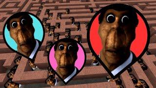 Too many Obunga Nextbots in the Maze GMod | BigMaze Garry's Mod