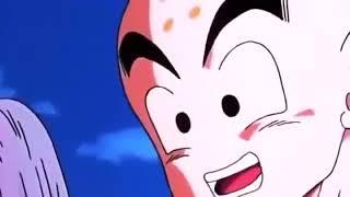 Gohan vs Cell Dub English