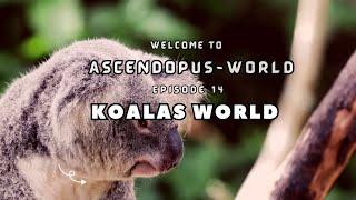 Episode 14: Creatures of Earth  I Koalas World I @Ascendopus-World