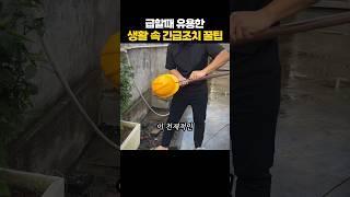 급할때 유용한 생활 긴급조치 기술