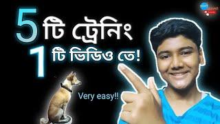 basic training for dogs | 5 dog tricks | Five(5 )Dog training in one(1) video | in Bengali