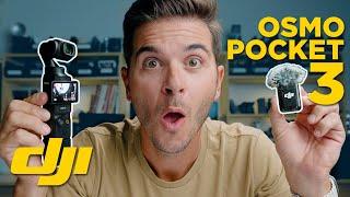 DJI Osmo Pocket 3 Vlogging Camera THE LOWLIGHT MONSTER!