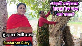 বাবা আজ কি করল!মা আজ নতুন জাল পাতলো তারপর যা হলো! Sundarban Diary