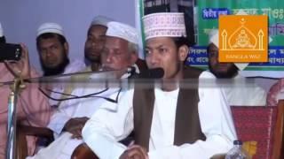 New Bangla Waz By Mawlana Amir Hamza 2016