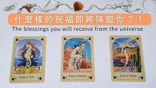 那方面的祝福即將降臨你？！️黑皮好思HappyHouse Tarot⭐#顯化#感情 #事業 #財富 #正向思維 #塔羅諮詢