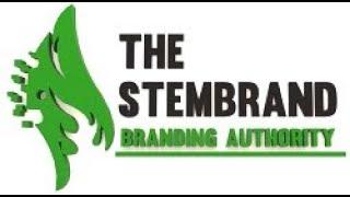 STEMBRAND | Digital Marketing Company in Delhi | #Branding