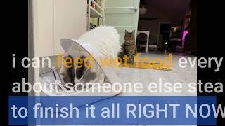 Sure Petcare -SureFlap - SureFeed - Microchip Pet Feeder - Selective-Automatic Pet Feeder