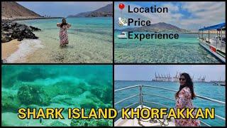 Shark Island, Khorfakkan, UAE - Location, Price & Experience