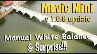 Mavic Mini | DJI fly app update version 1.0.8 | Manual white balance & a surprise in your flight!!!