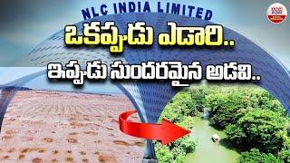 ఒక్కపుడు ఎడారి.. ఇప్పుడు సుందరమైన అడవి | Special On Neyveli Afforestation | NLC India | ABN Digital